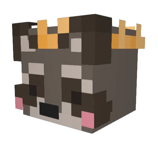 EvilLiege420 Minecraft avatar head, 3D render