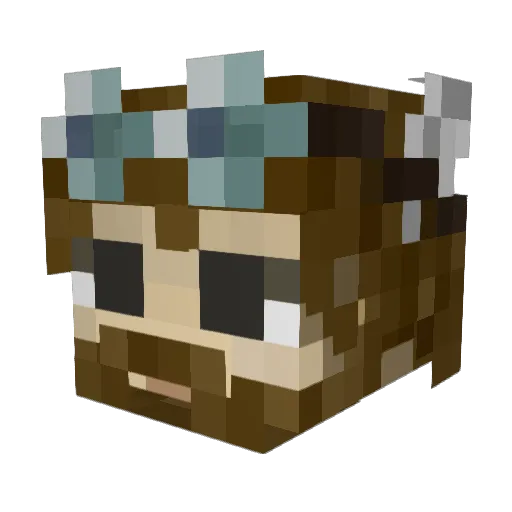 EvilMLG Minecraft avatar head, 3D render