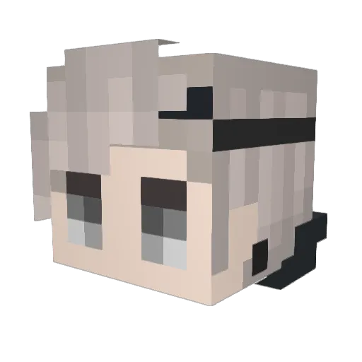 EvilMaster4 Minecraft avatar head, 3D render
