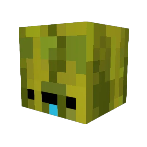 EvilMelon_ Minecraft avatar head, 3D render