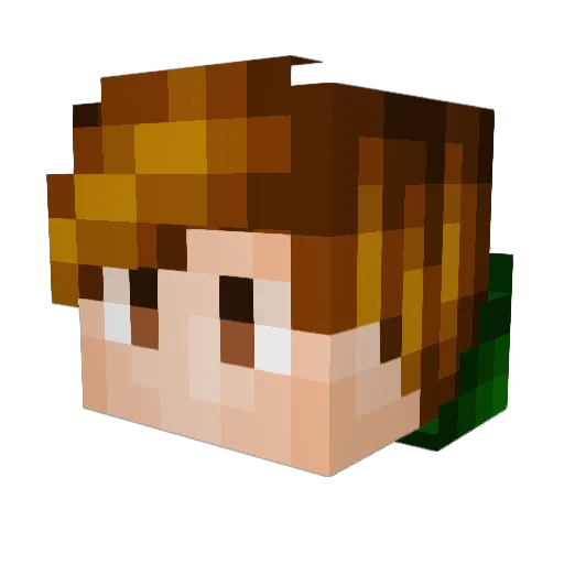 EvilMii04 Minecraft avatar head, 3D render