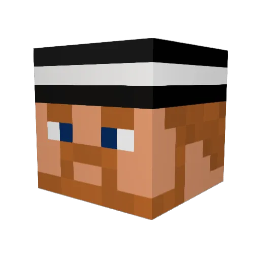EvilMonkey9464 Minecraft avatar head, 3D render