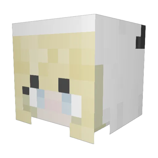 EvilPanda1 Minecraft avatar head, 3D render