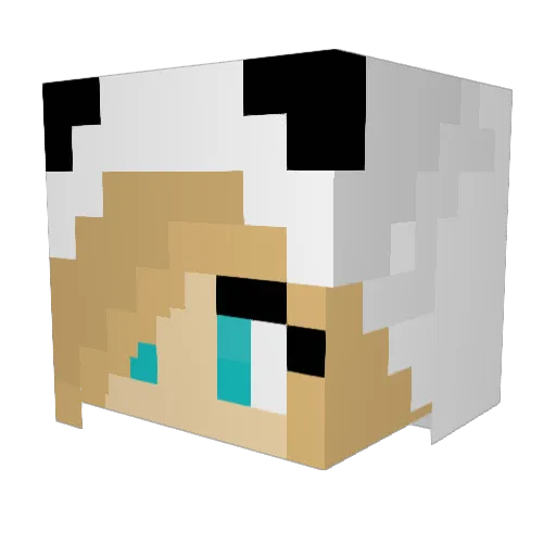 EvilPandaisEvil Minecraft avatar head, 3D render