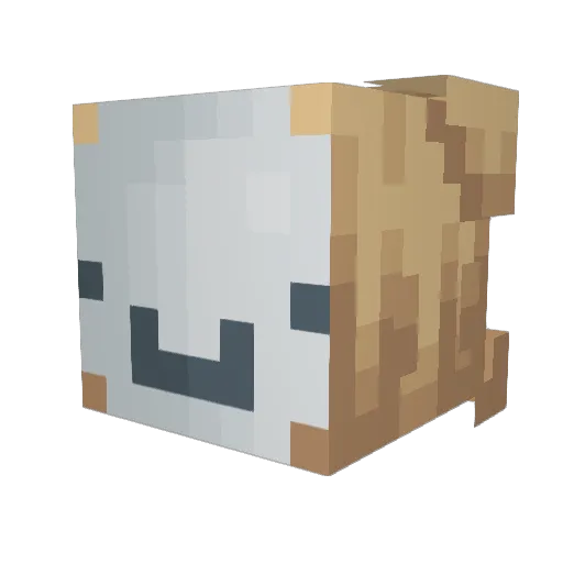 EvilPugBella Minecraft avatar head, 3D render