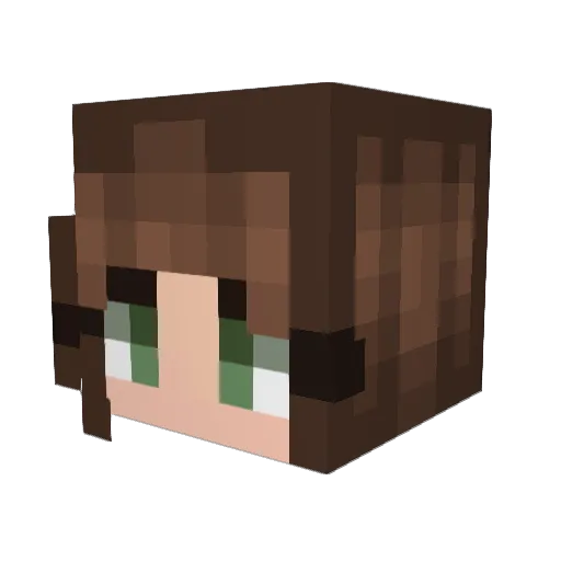 EvilRainbow99 Minecraft avatar head, 3D render
