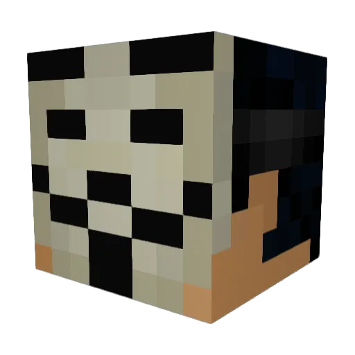 EvilReg7392 Minecraft avatar head, 3D render
