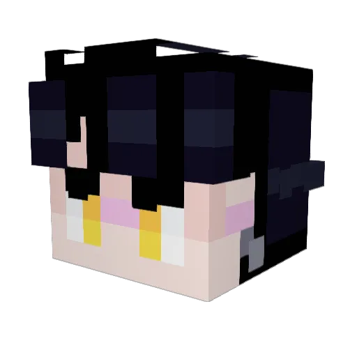 EvilSnail144 Minecraft avatar head, 3D render