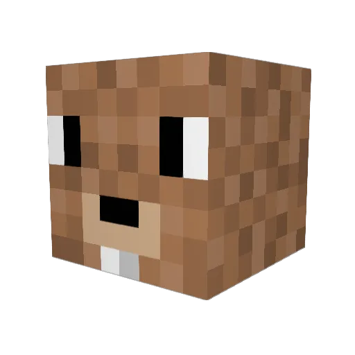 EvilSquirrel904 Minecraft avatar head, 3D render