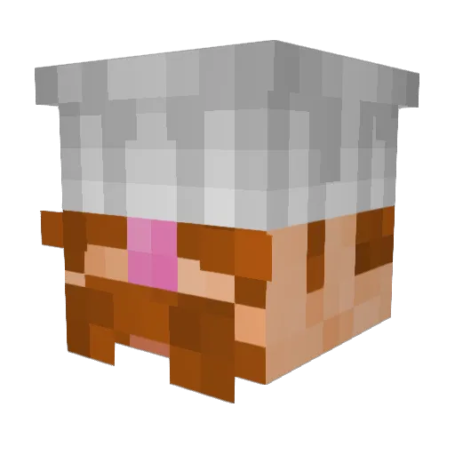 EvilStudmuffin3 Minecraft avatar head, 3D render