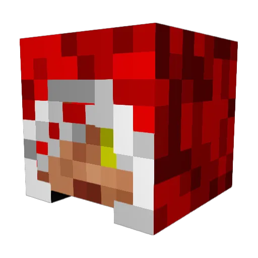 EvilTicko Minecraft avatar head, 3D render