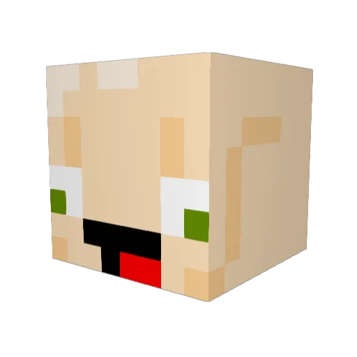 EvilTwinnn Minecraft avatar head, 3D render