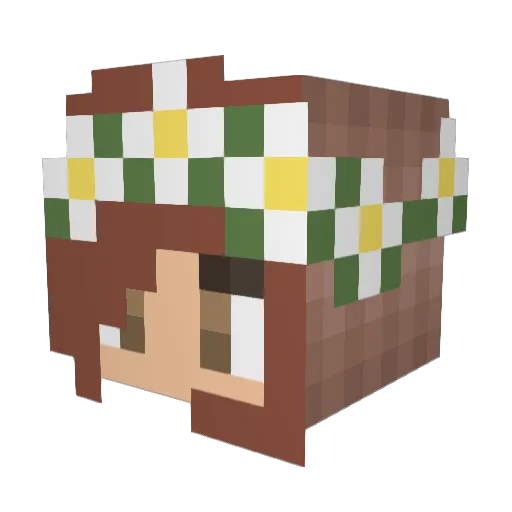 Evil_Dust_Bunny Minecraft avatar head, 3D render