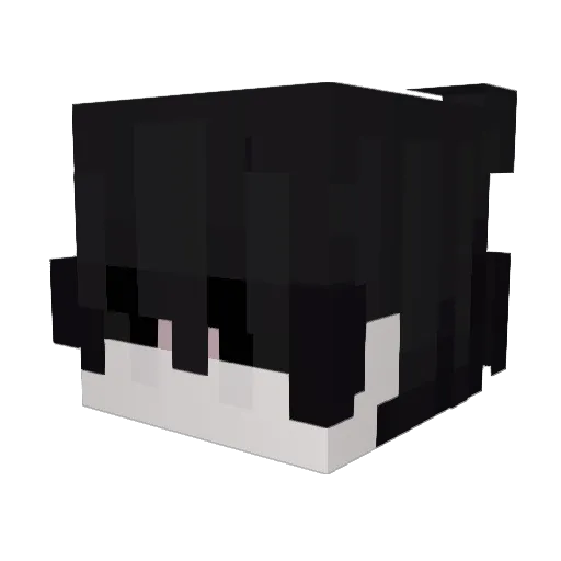 Evil_Hax02 Minecraft avatar head, 3D render