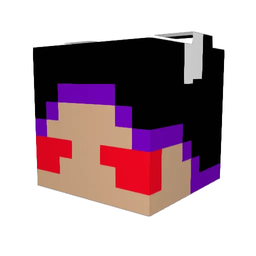 Evil_LordMaster Minecraft avatar head, 3D render