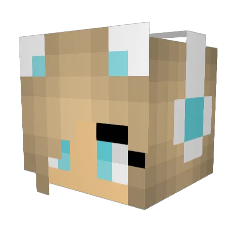 Evil_Mangle2007 Minecraft avatar head, 3D render
