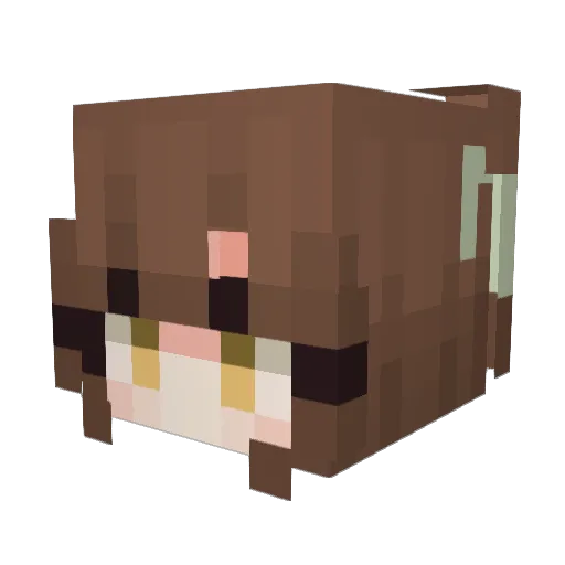 Evil_Panyo Minecraft avatar head, 3D render