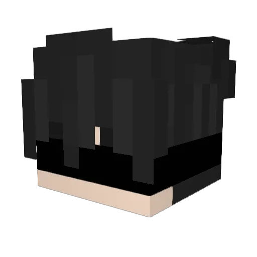 Evil_brain0P Minecraft avatar head, 3D render
