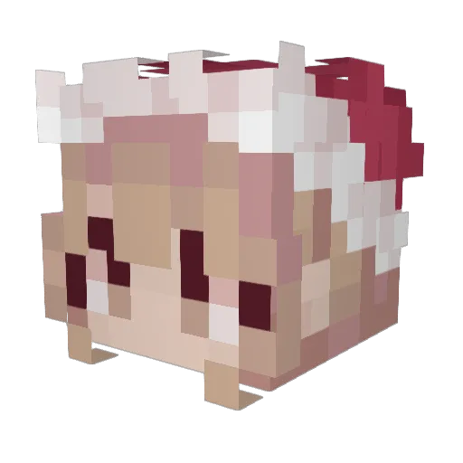 Evilcat1 Minecraft avatar head, 3D render