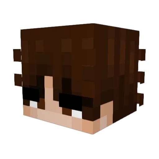 Evilerwolf112 Minecraft avatar head, 3D render