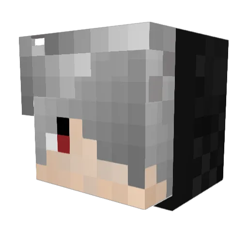 Evilplayer2019 Minecraft avatar head, 3D render