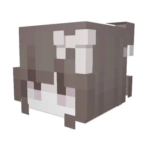 Evils_ Minecraft avatar head, 3D render