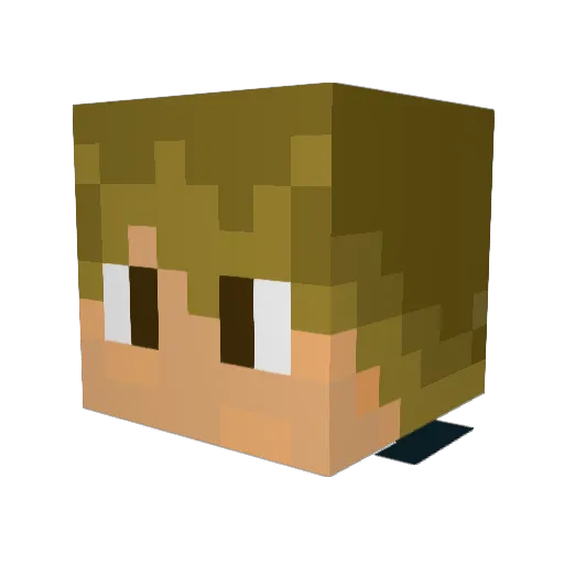 Eviltrnkmonkey Minecraft avatar head, 3D render