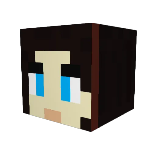Evilwolf64 Minecraft avatar head, 3D render