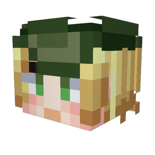 Evilyn_11 Minecraft avatar head, 3D render