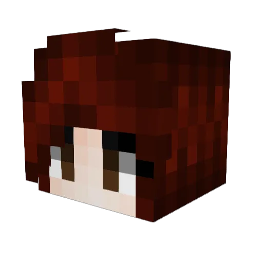 Evilys54 Minecraft avatar head, 3D render