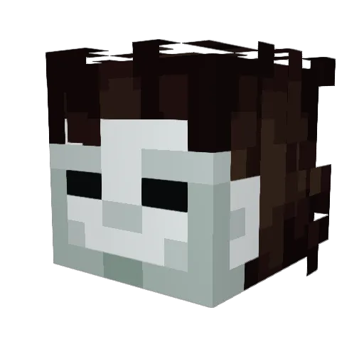 Evixyn Minecraft avatar head, 3D render