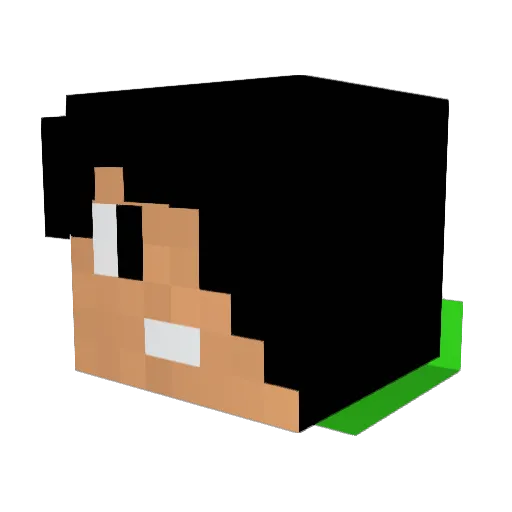 Evman10 Minecraft avatar head, 3D render