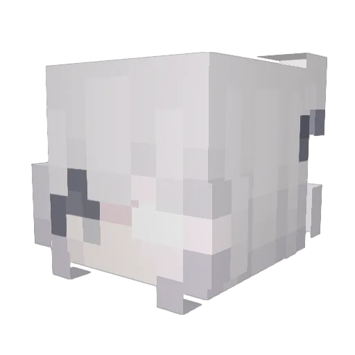 Evnesssis Minecraft avatar head, 3D render