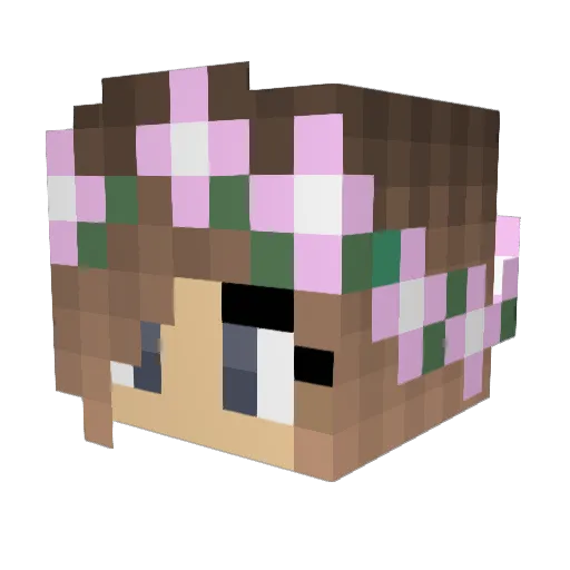 Evo84016 Minecraft avatar head, 3D render