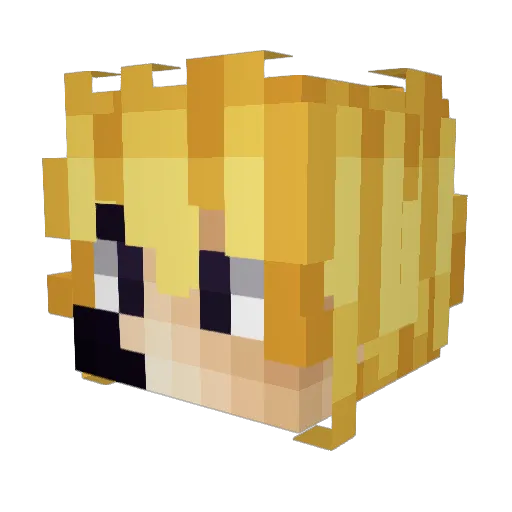 Evo_Tapster Minecraft avatar head, 3D render