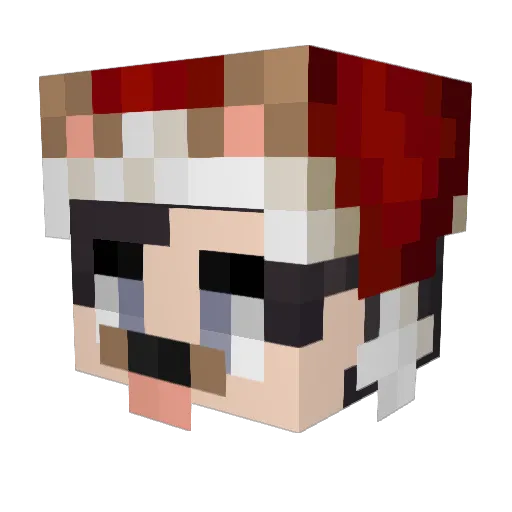 Evok_ Minecraft avatar head, 3D render
