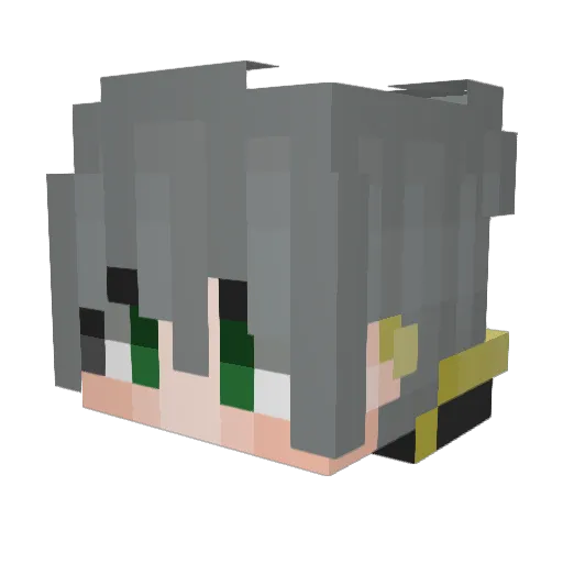 EvokerBadMob Minecraft avatar head, 3D render