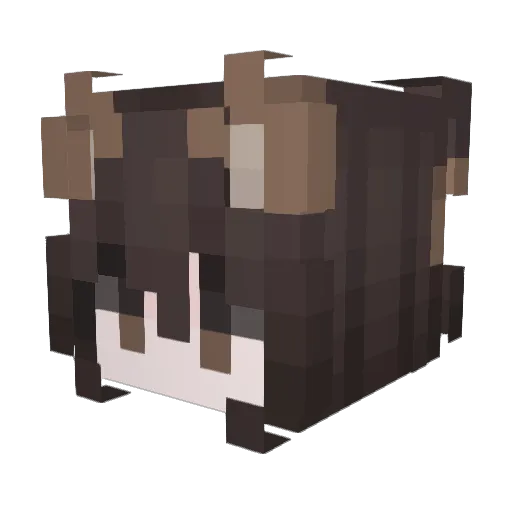 Evoli13 Minecraft avatar head, 3D render