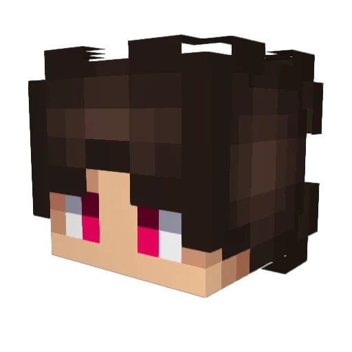 Evolir Minecraft avatar head, 3D render