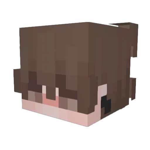 EvolluTiOnZz Minecraft avatar head, 3D render