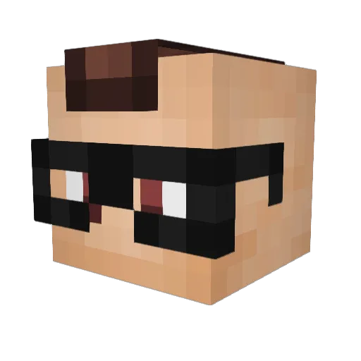 Evolskywalker Minecraft avatar head, 3D render