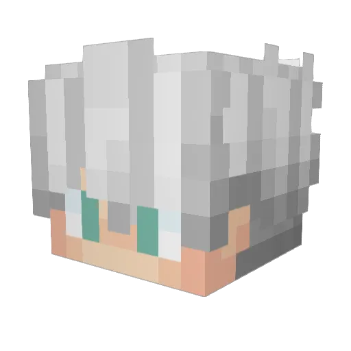 EvolvedCBT Minecraft avatar head, 3D render