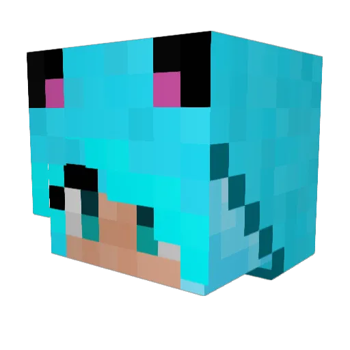 EvolvedPanda Minecraft avatar head, 3D render