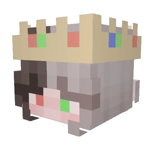 Evp11 Minecraft avatar head, 3D render