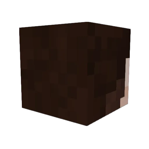 Evrat Minecraft avatar head, 3D render