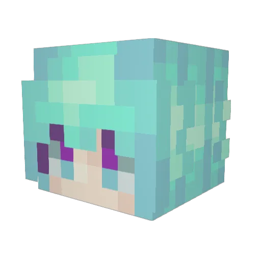 Evril95 Minecraft avatar head, 3D render
