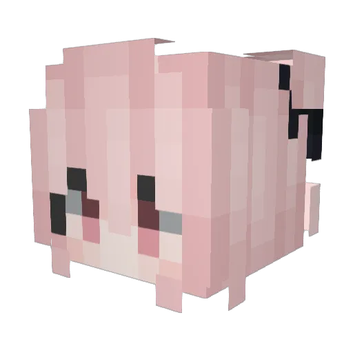 Evrinyx Minecraft avatar head, 3D render