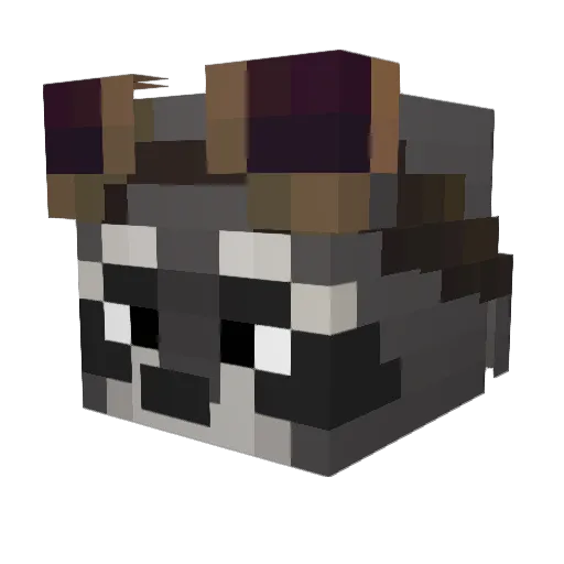 Evronax Minecraft avatar head, 3D render