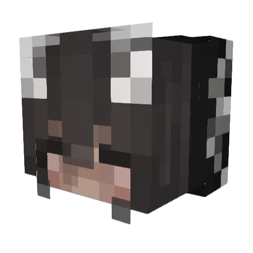 Evuskqqq Minecraft avatar head, 3D render