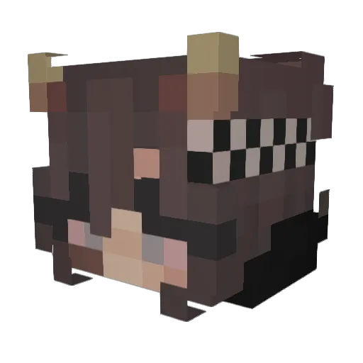 Evve1 Minecraft avatar head, 3D render
